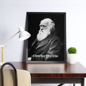 Alternative view of Quadro Charles Darwin