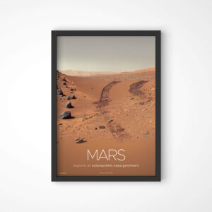 Quadro LojaNerd TerrenoMarciano